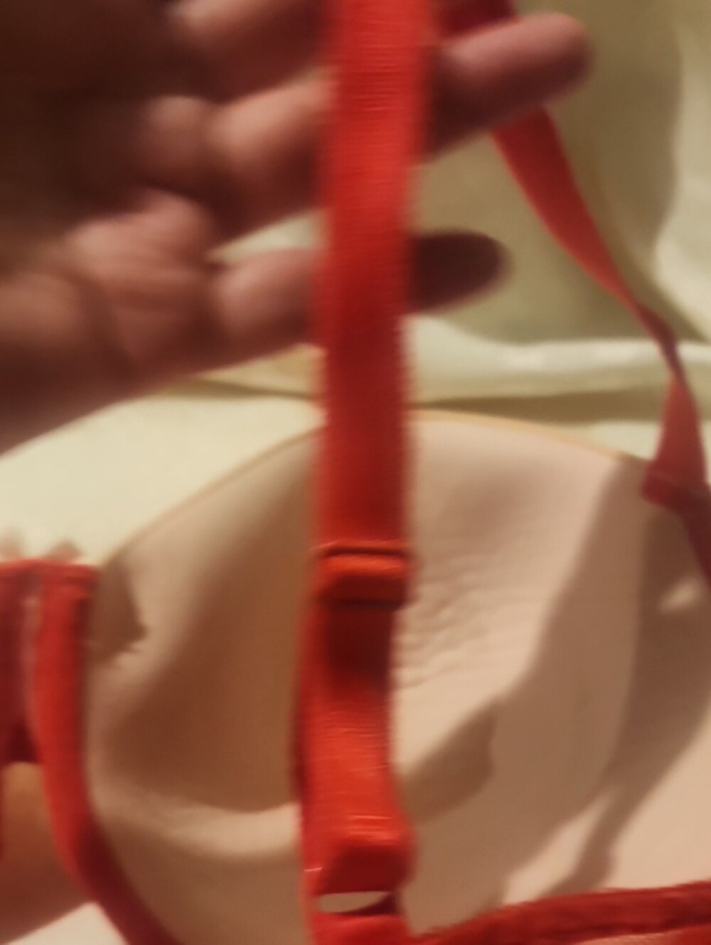 Victoria's Secret Red Lace Embellished Push-Up Bra - Picture 9 of 12